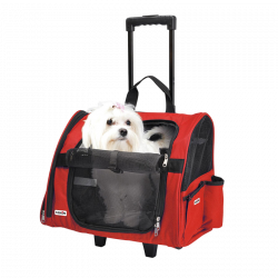 Camon Mochila Trolley