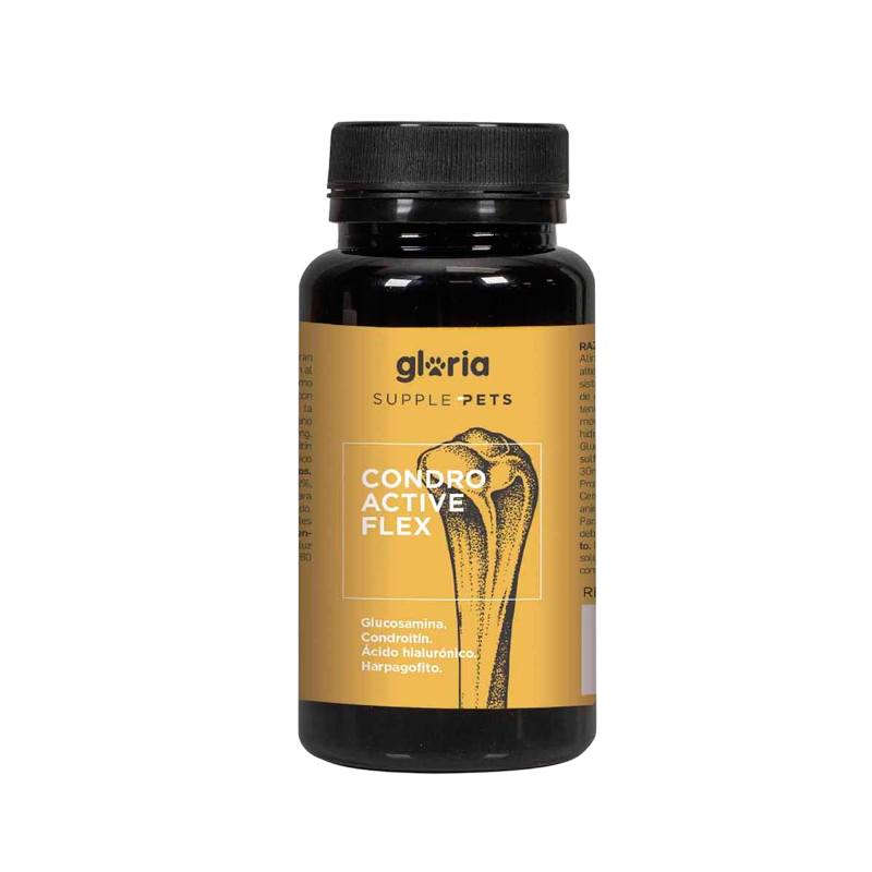 Suplemento Gloria Supple Pets Condro Active Flex para la salud articular de perros de razas medianas y grandes
