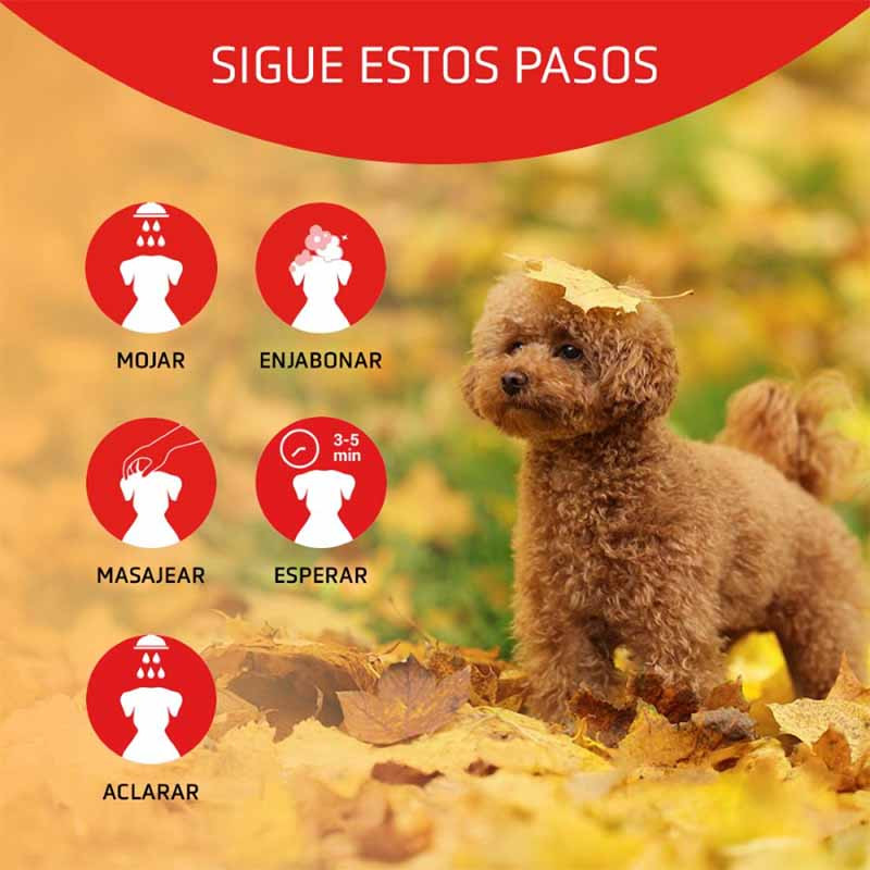 Cómo aplicar Artero Scarlet Champú para perros — pasos de uso para un pelaje brillante y sano
