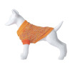 Perro Maniqui usando Jersey Freedog Mille Naranj.