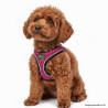 Perro con el Arnés Hilo Comfort Fucsia