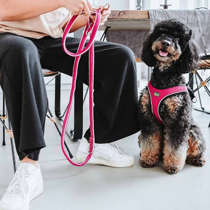 Correa premium Hunter Hilo malla 3D fucsia para perros