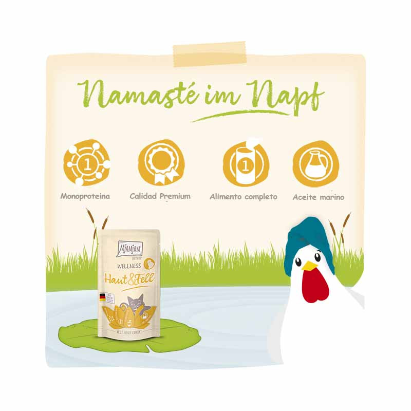 Ingredientes y beneficios de MjAMjAM Wellness Piel y Pelo – comida húmeda natural para gatos