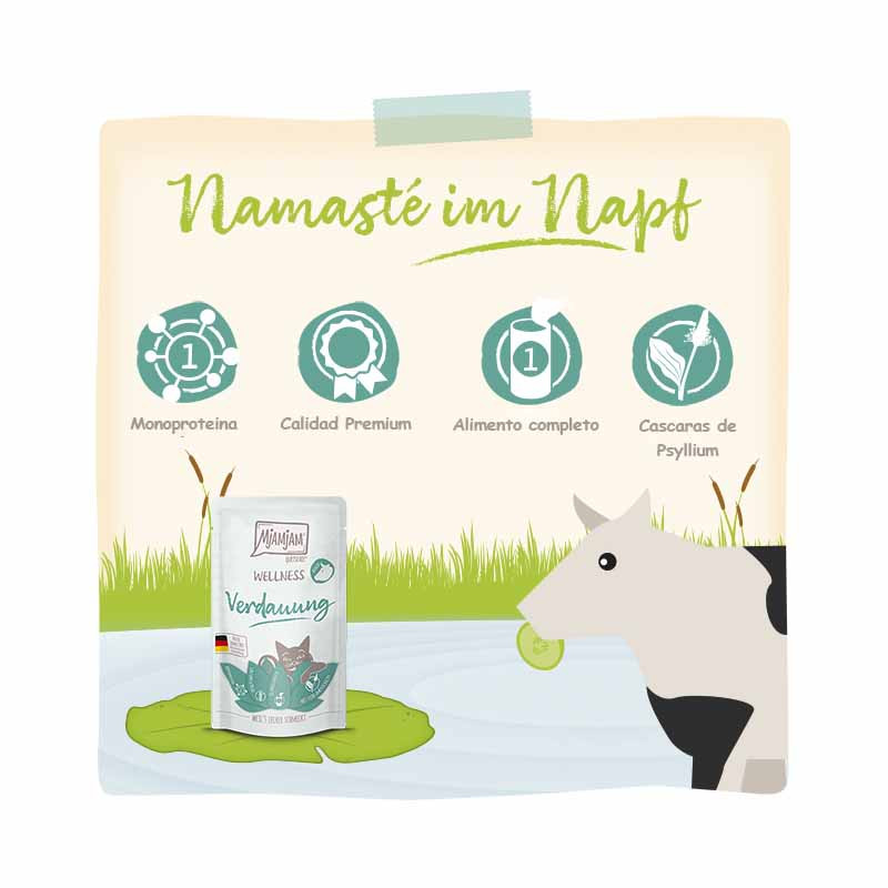 Ingredientes de MjAMjAM Wellness Digestión de Res – comida húmeda natural para gatos sensibles