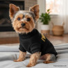 perro con abrigo Wouapy Jersey Pull Wild Noir negro y amarillo sentado