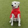 perro con impermeable-freedog-oymyakon-rojo
