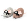 Camon ratones piratas juguete para gatos