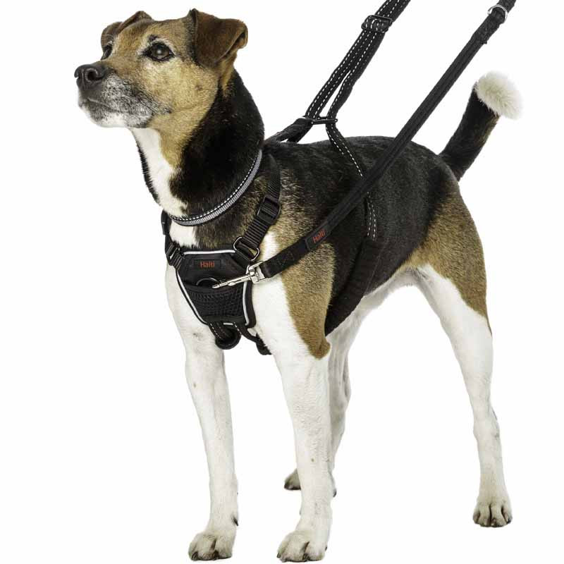 Arnés con anilla frontal anti-tirones para perros