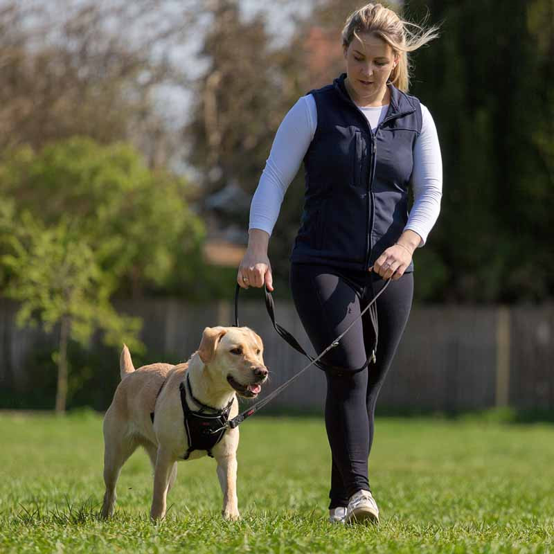 Halti no pull harness negro para paseo