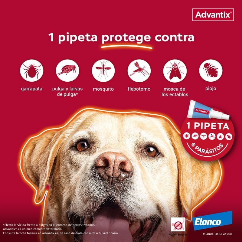 Pipetas antipulgas y garrapatas perros