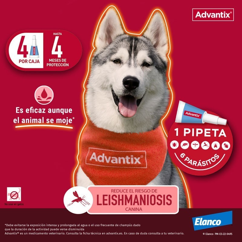 Advantix protección contra pulgas y garrapatas