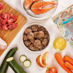 albondigas BARF para perros cachorros