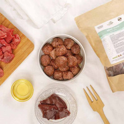 albondigas barf de vacuno para gatos