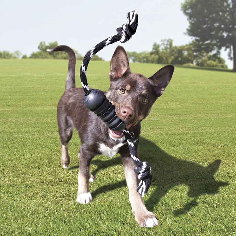 KONG mordedor resistente para perros medianos