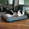Zee.Dog cama premium para perros pequeños