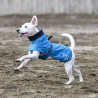Perro con Freedog abrigo chubasquero High Comfort azul