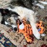 Perro jugando con peluche KONG Wild Knots Tiger