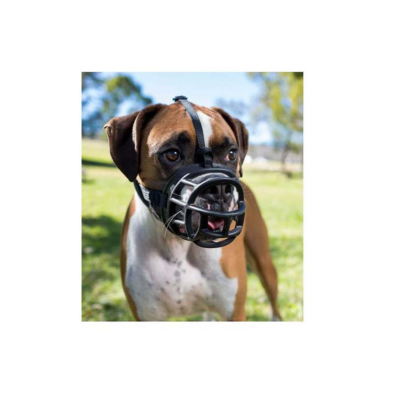 perro-con-bozal-ergonomico-adiestramiento-baskerville