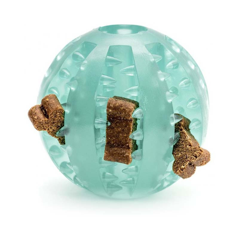 pelota-dental-gloria-tpr-5cm-perros-pequeños-limpieza