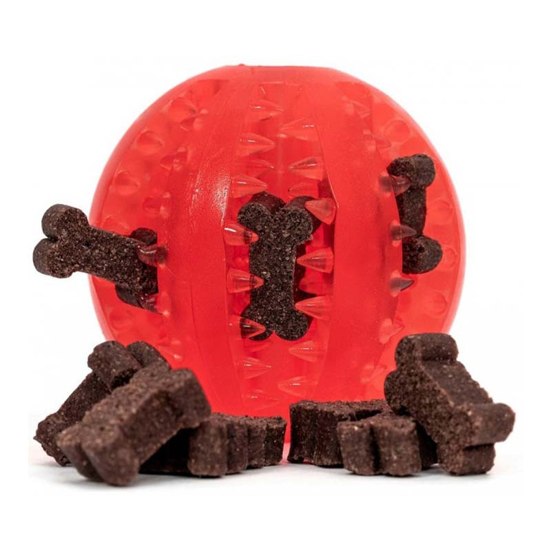 gloria-pelota-juguete-mordedor-dental