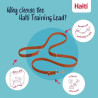 halti-multifunction-lead