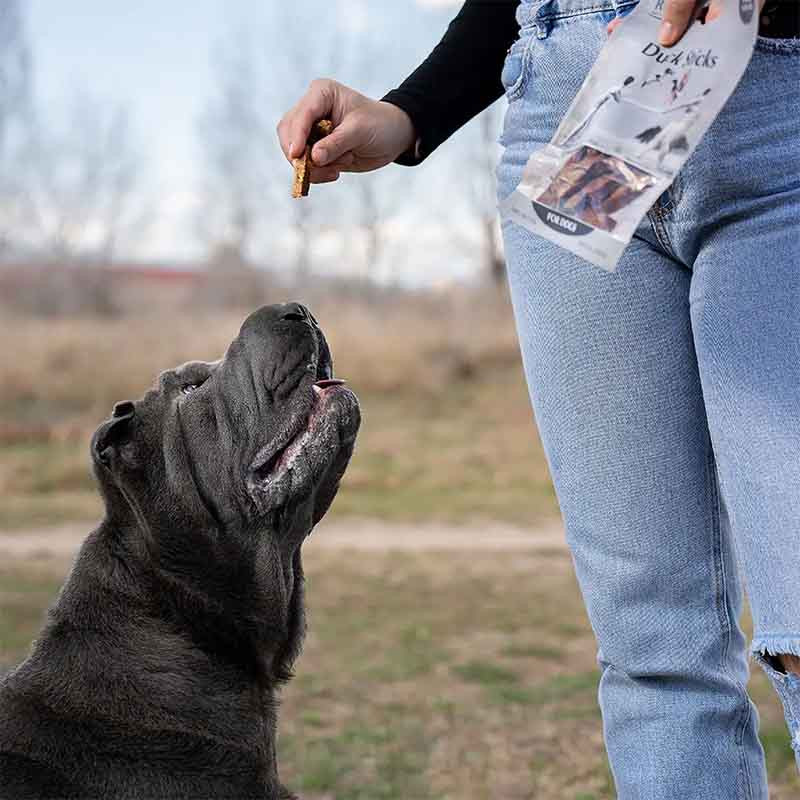 perro-comiendo-retorn-duck-sticks-pato-snack-dental-perro-100g