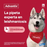 advantix-antiparasitario-spot-on-perros-pequeños-pulgas-garrapatas