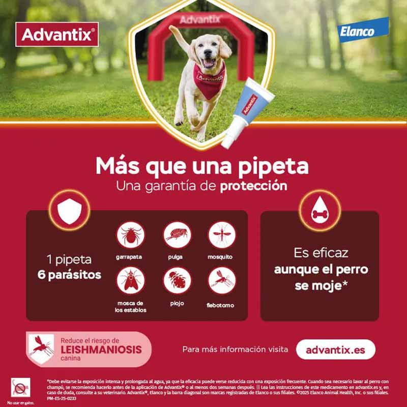 advantix-eliminación-parasitos-para-perros