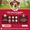 advantix-eliminación-parasitos-para-perros