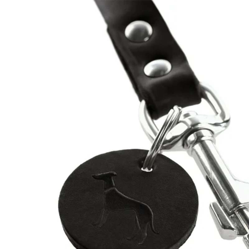 hunter-correa-de-lujo-para-perros-cuero-negro-resistente