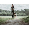 imagen-perro-con-correa-hunter-cuero-ajustable-color-marron