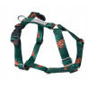 amiplay-arnes-behappy-jungle-ergonomico-perros