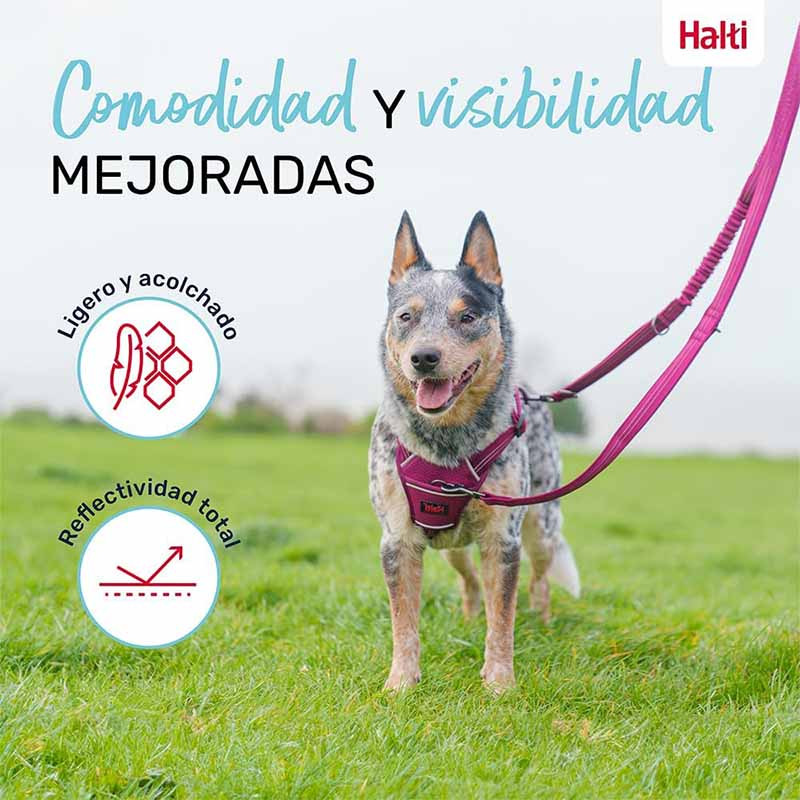 halti-correa-de-paseo-burdeos-ajustable-con-neopreno-para-perros-grandes