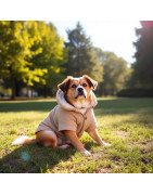 Confort y Ropa para Perros Estilo, Comodidad y Protección para tu Mascota