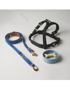 Accesorios para perros - CrazyAnimal