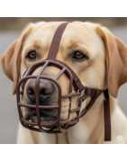 Bozales para perros