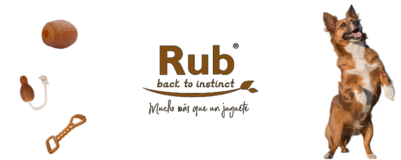 Resina Orgánica Natural