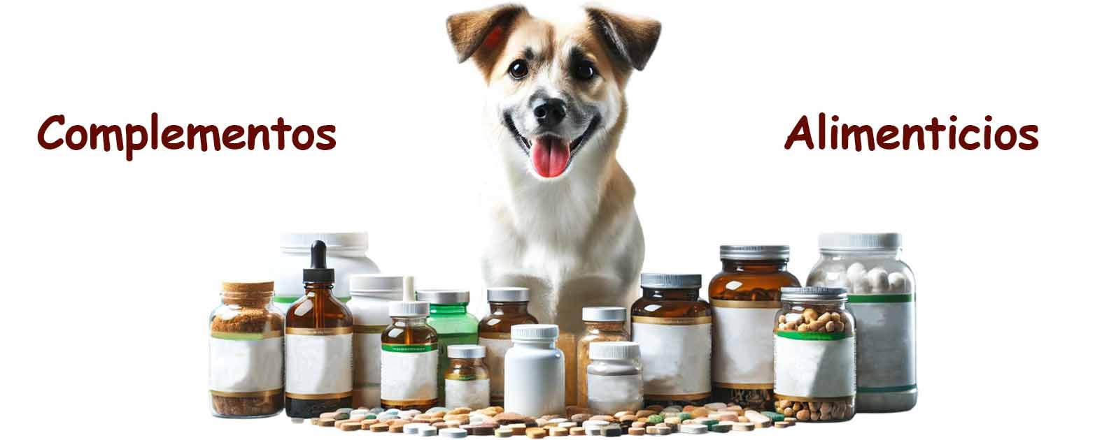 Complementos alimenticios