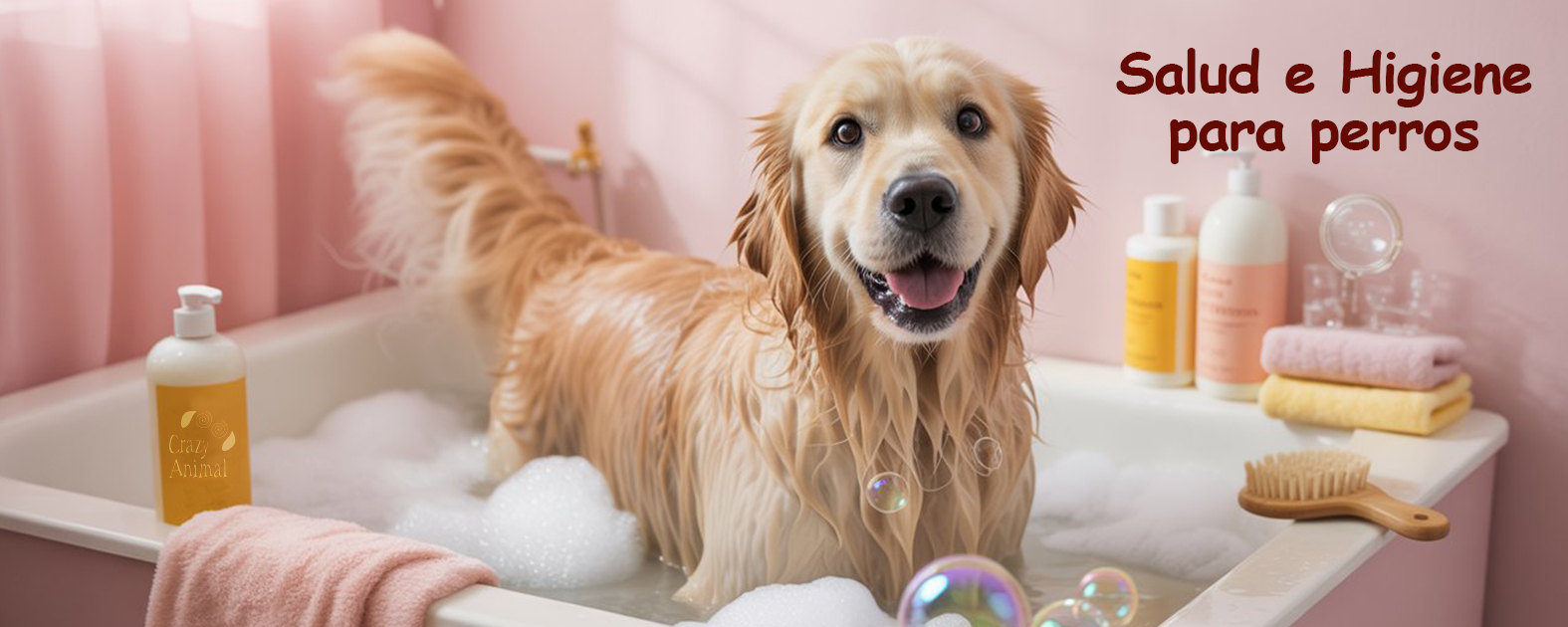 Banner%20Salud%20e%20higiene%20perros%20-%203.jpg