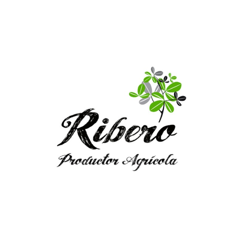 Ribero
